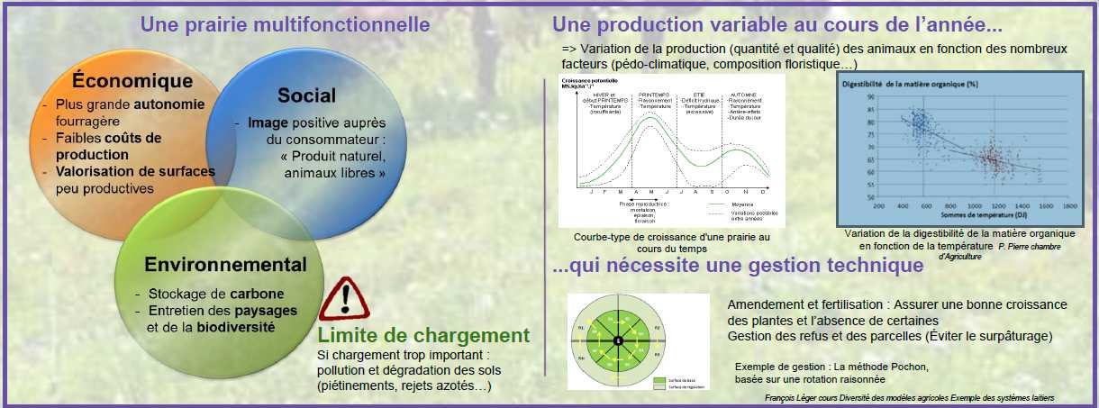 Valorisation_des_prairies_naturelles3